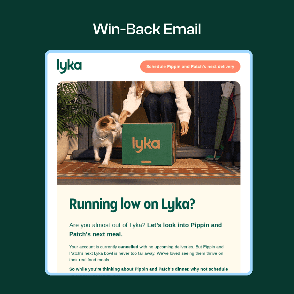 Example of a Win-back email (Source: Really Good Emails)
